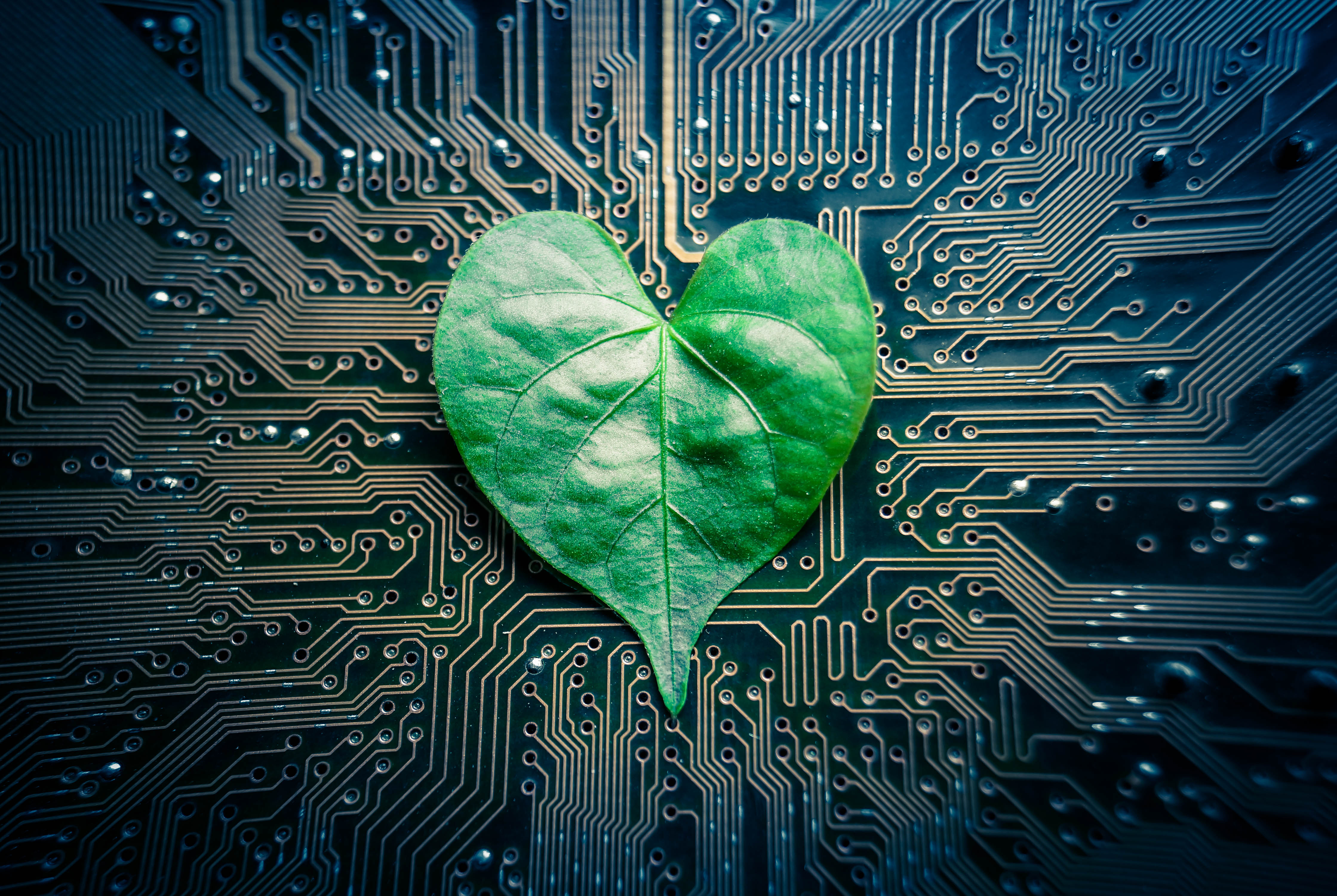 A green leaf with a heart shape on a computer circuit board / green it / green computing / csr / it ethics